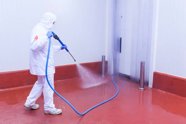 Best Solar Panel Cleaning  in San Felipe, TX