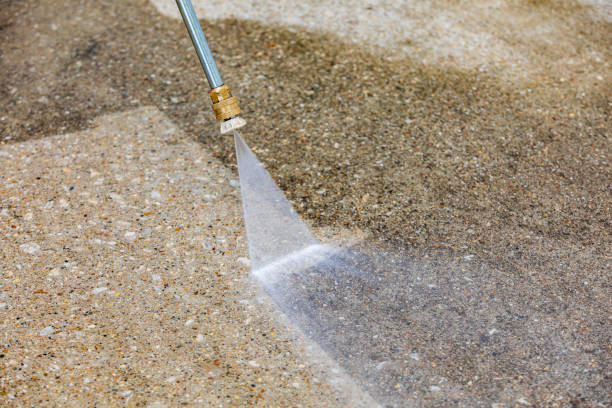 Best Spring Cleaning  in San Felipe, TX